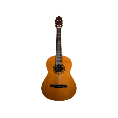 Gitarre