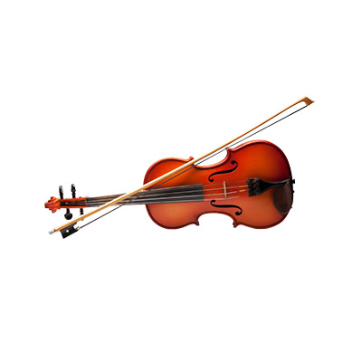Viola
